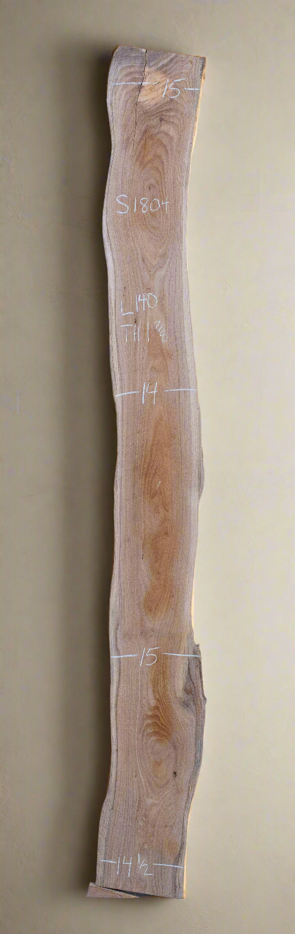 Elm - S1804