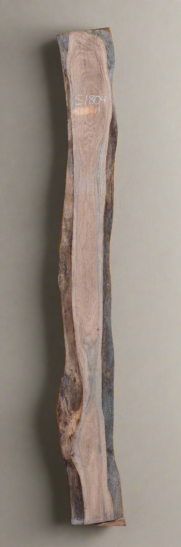 Elm - S1804