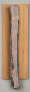 Elm - S1804