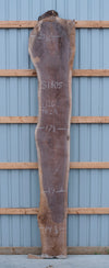 Black Walnut - S1805