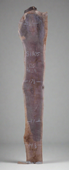 Black Walnut - S1805