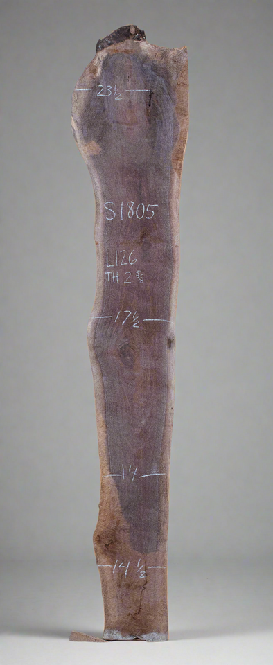 Black Walnut - S1805