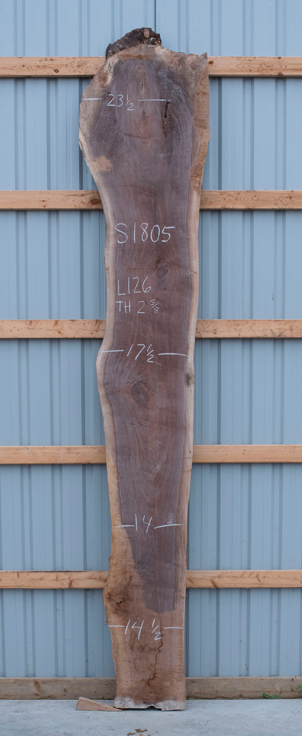 Black Walnut - S1805