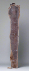 Black Walnut - S1805