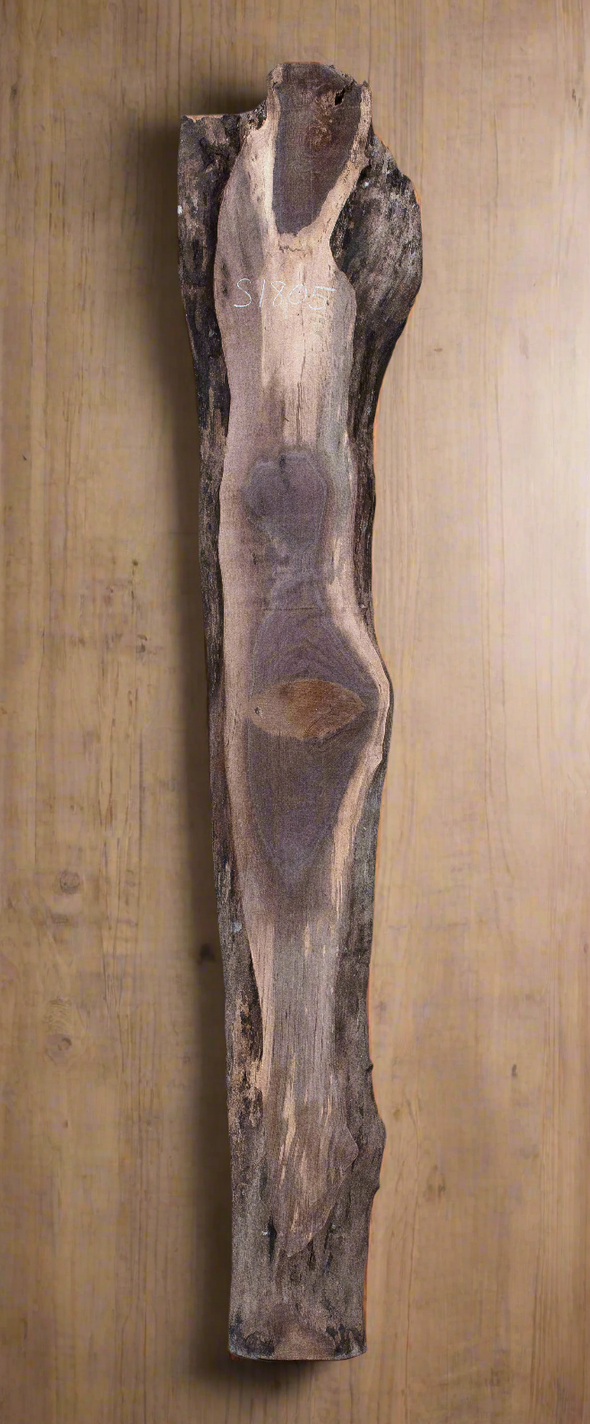Black Walnut - S1805