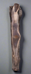Black Walnut - S1805