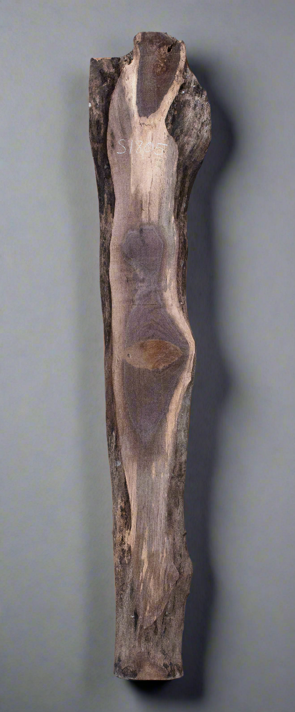 Black Walnut - S1805
