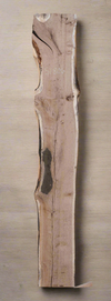 White Oak - S1806