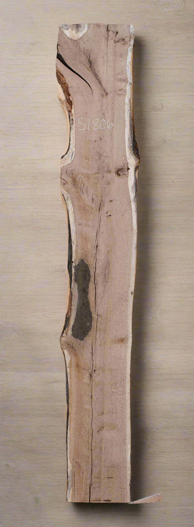 White Oak - S1806