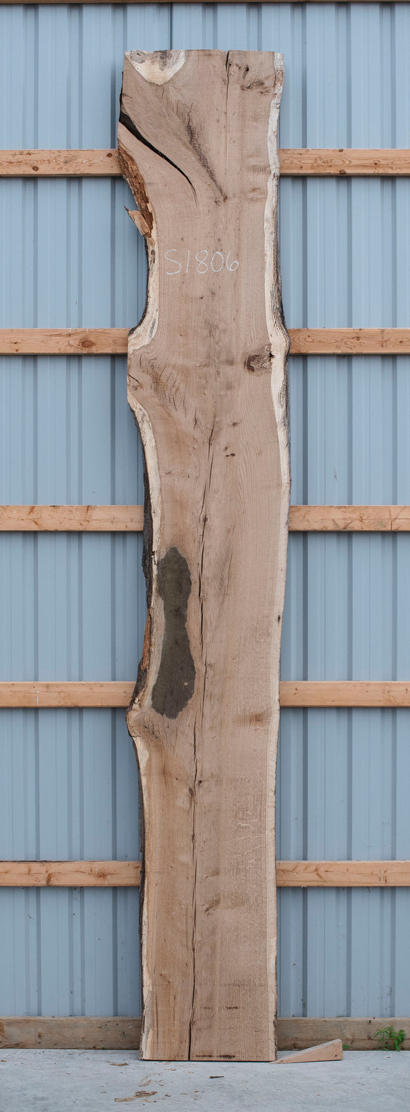 White Oak - S1806