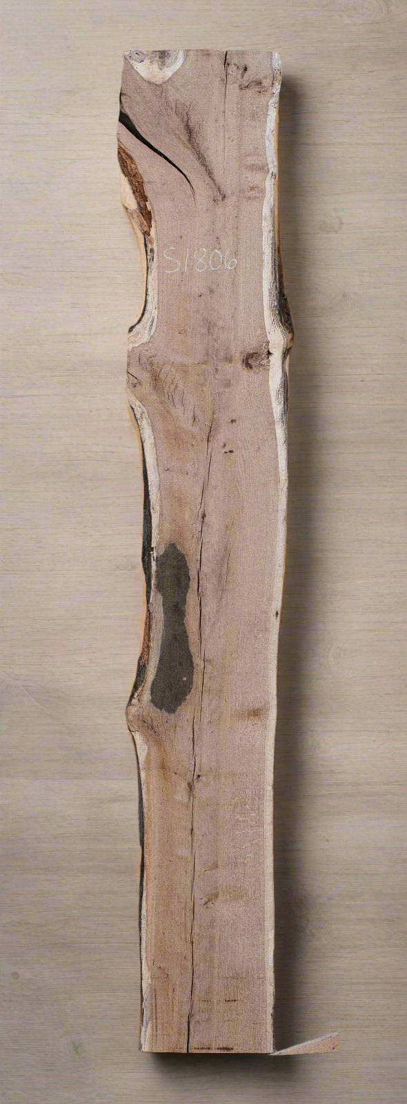 White Oak - S1806