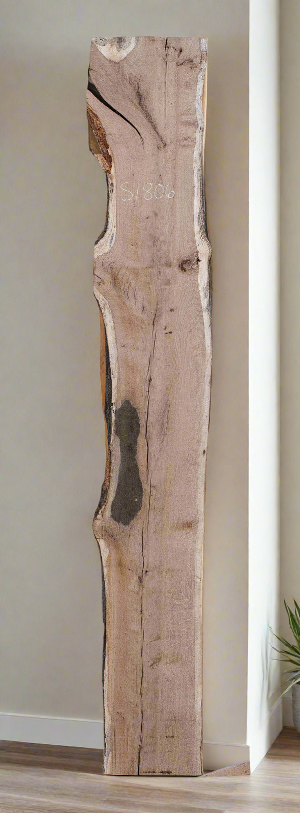 White Oak - S1806