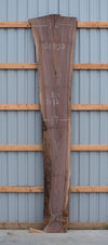 Black Walnut - S1807