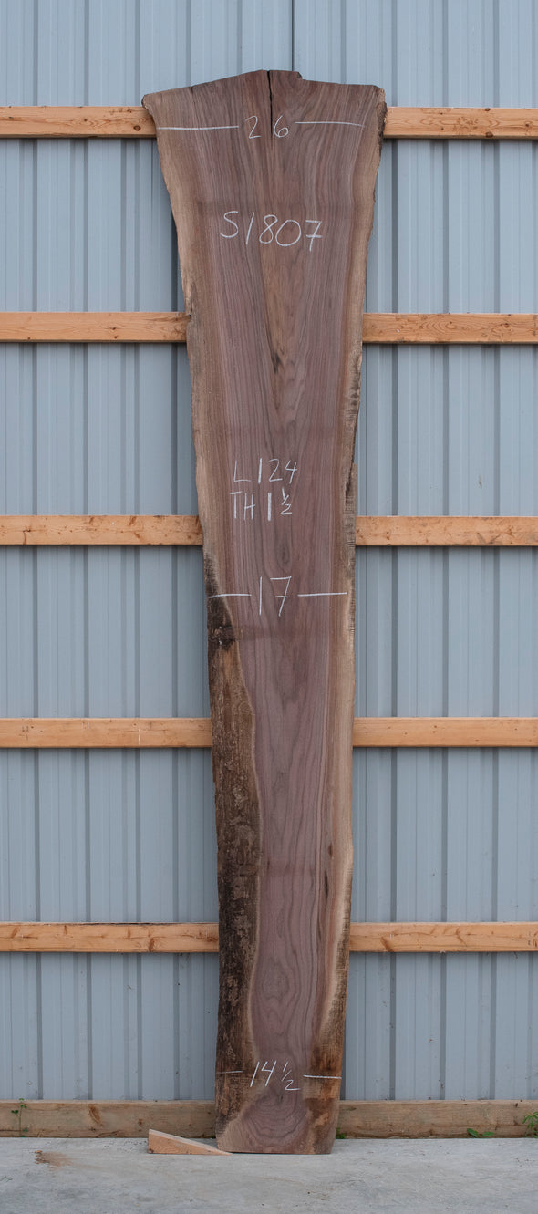 Black Walnut - S1807