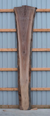 Black Walnut - S1807