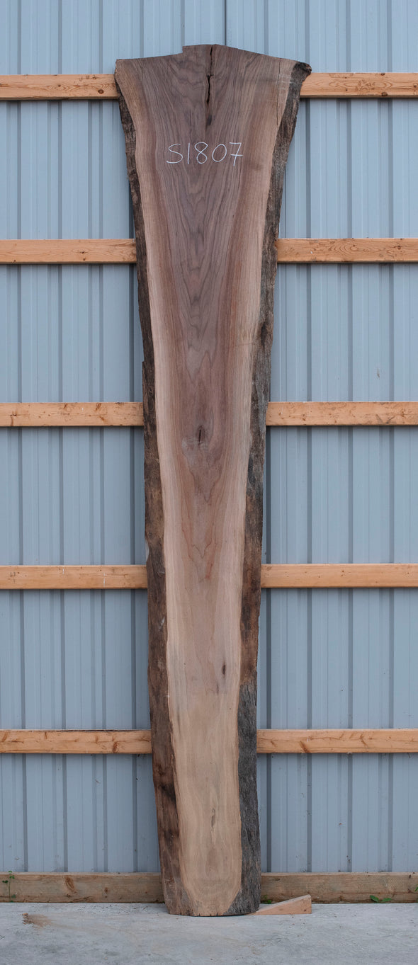 Black Walnut - S1807
