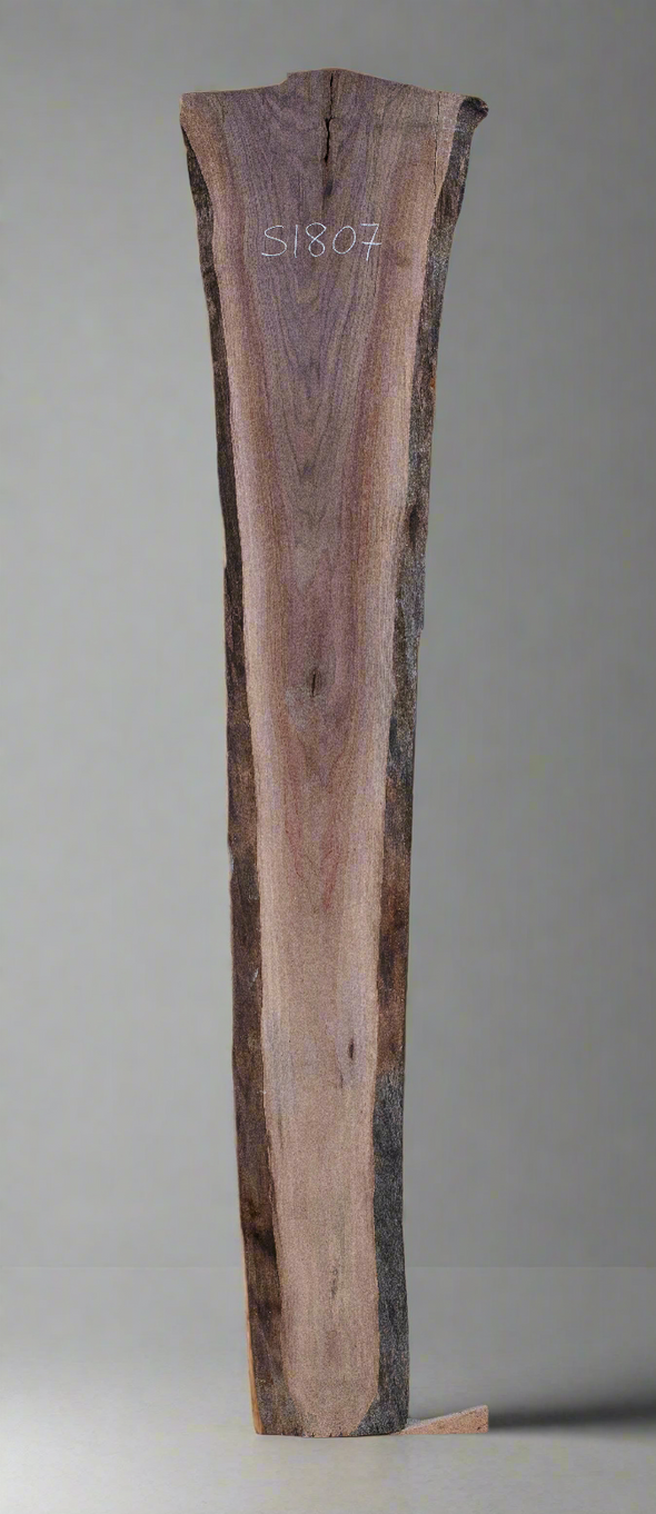 Black Walnut - S1807