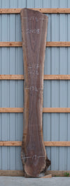 Black Walnut - S1808