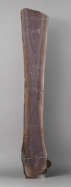 Black Walnut - S1808
