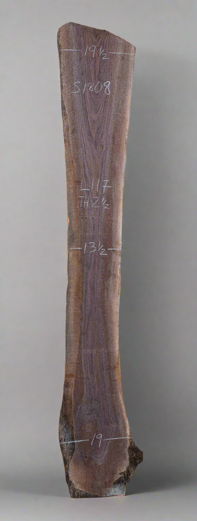 Black Walnut - S1808