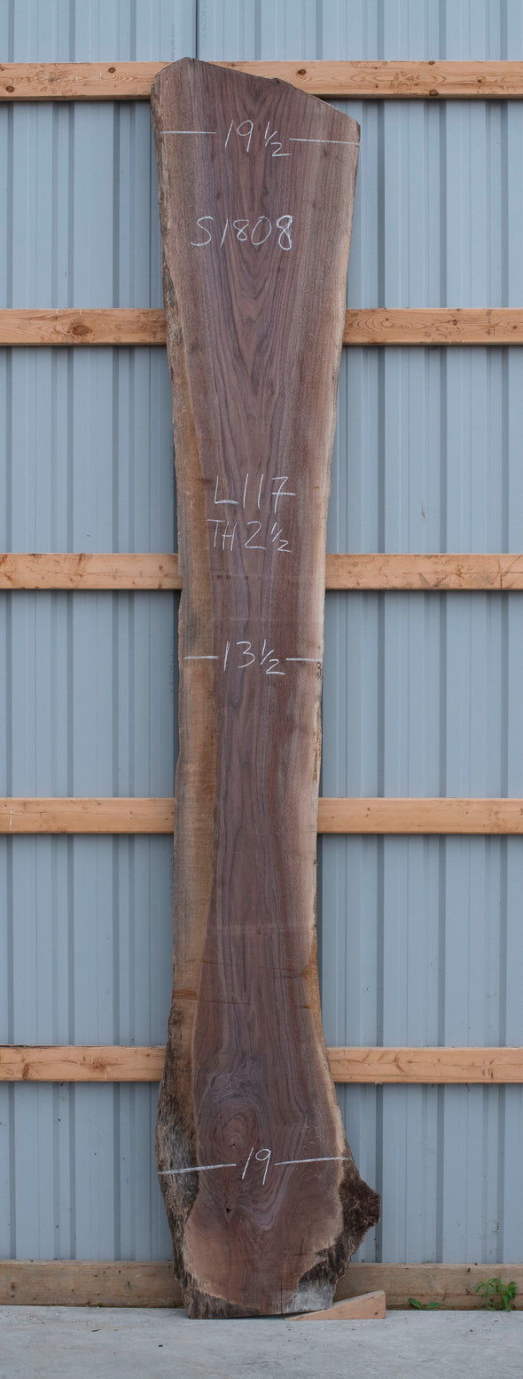 Black Walnut - S1808