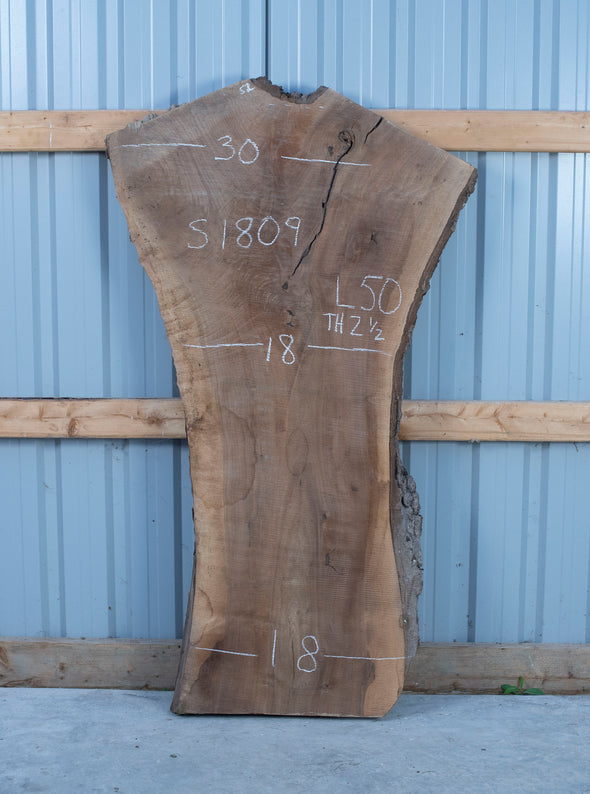 Black Walnut - S1809