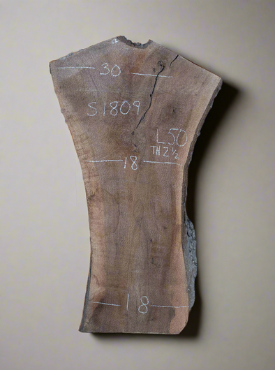 Black Walnut - S1809