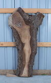 Black Walnut - S1810