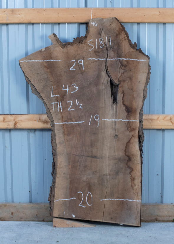Black Walnut Live Edge Slab - S1811
