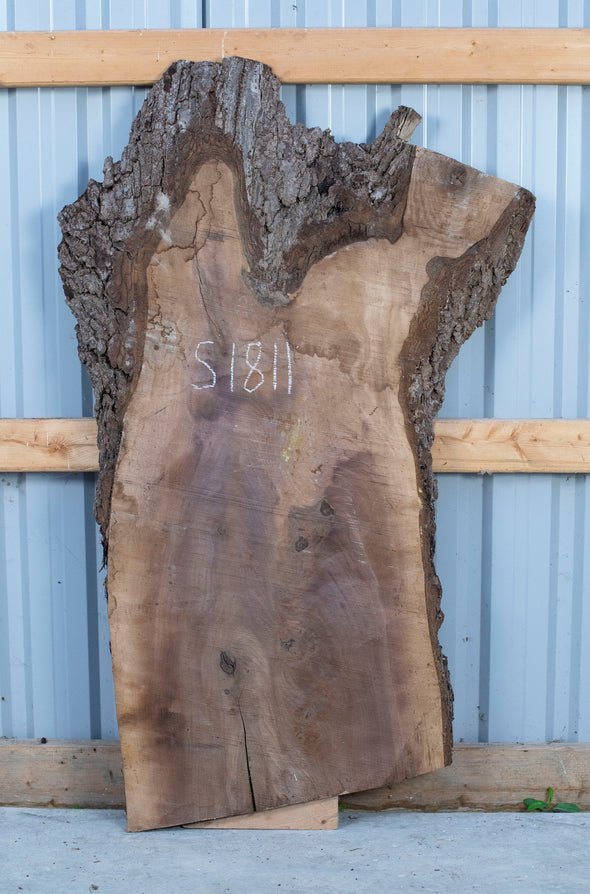 Black Walnut Live Edge Slab - S1811