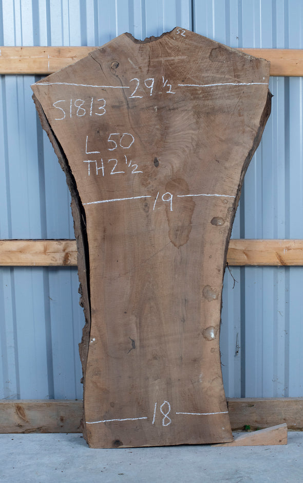 Black Walnut Live Edge Slab - S1813