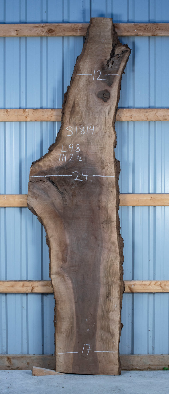 Black Walnut Live Edge Slab - S1814