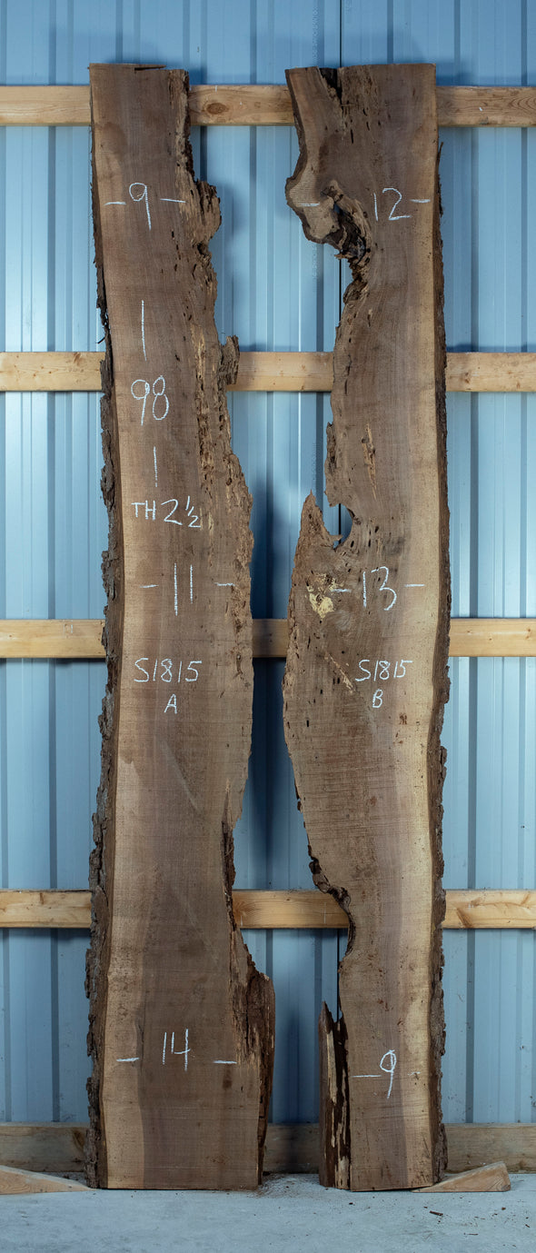 Black Walnut Live Edge Slab - S1815
