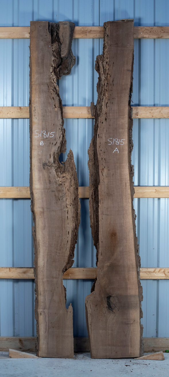 Black Walnut Live Edge Slab - S1815