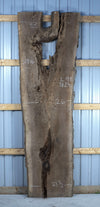 Black Walnut - S1816