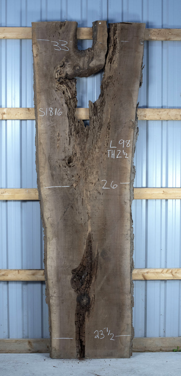 Black Walnut - S1816