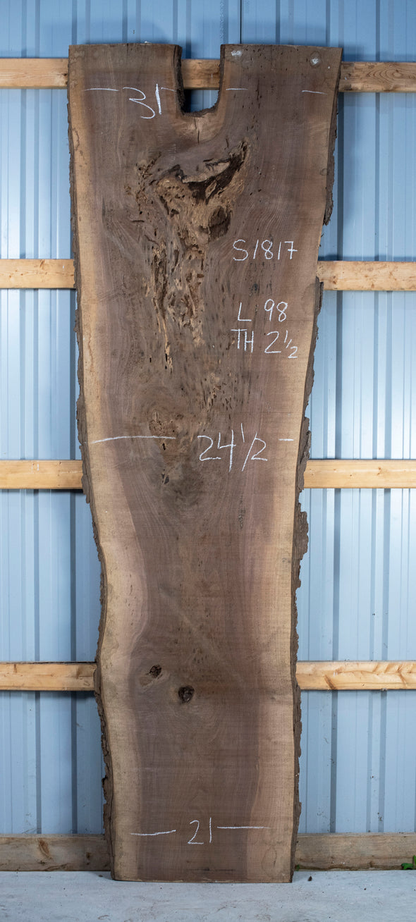 Black Walnut Live Edge Slab - S1817