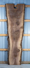 Black Walnut Live Edge Slab - S1817