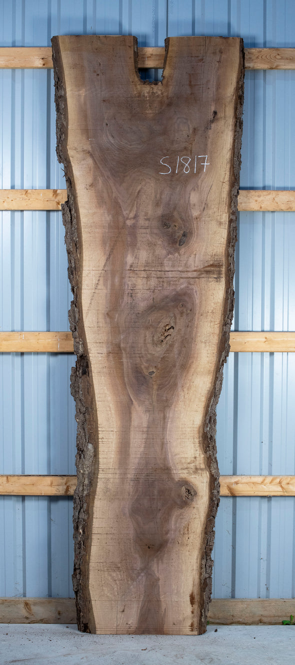 Black Walnut Live Edge Slab - S1817