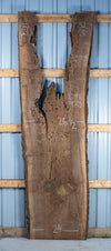 Black Walnut - S1818