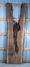 Black Walnut - S1818