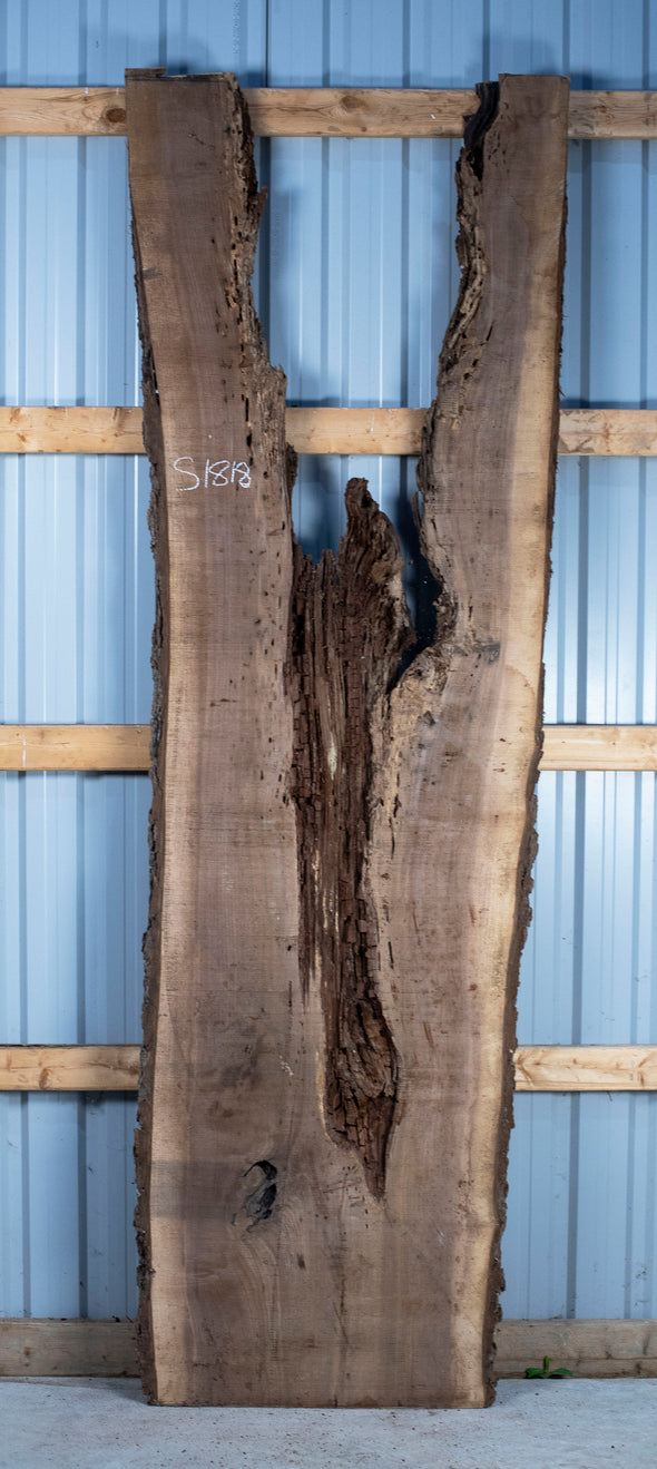 Black Walnut - S1818