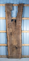 Black Walnut - S1819
