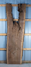 Black Walnut - S1819