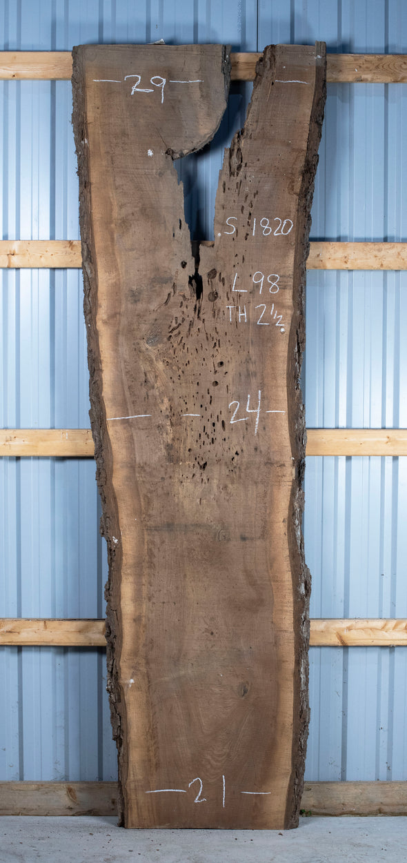 Black Walnut Live Edge Slab - S1820