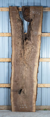 Black Walnut Live Edge Slab - S1820