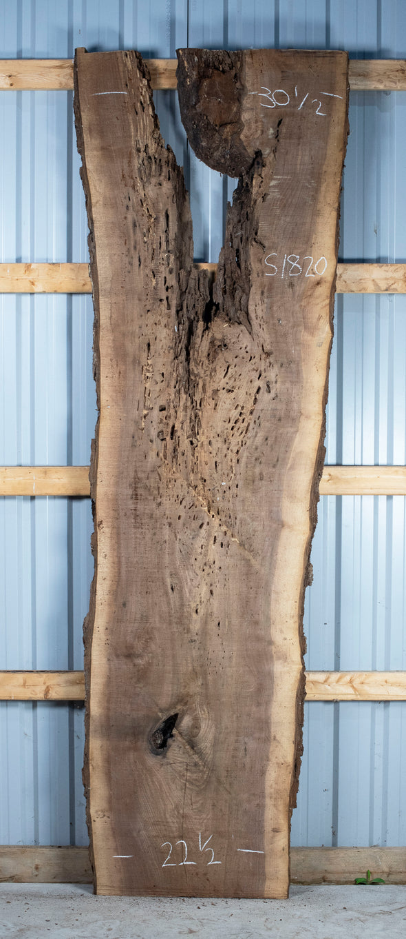 Black Walnut Live Edge Slab - S1820