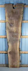 Black Walnut Live Edge Slab - S1821