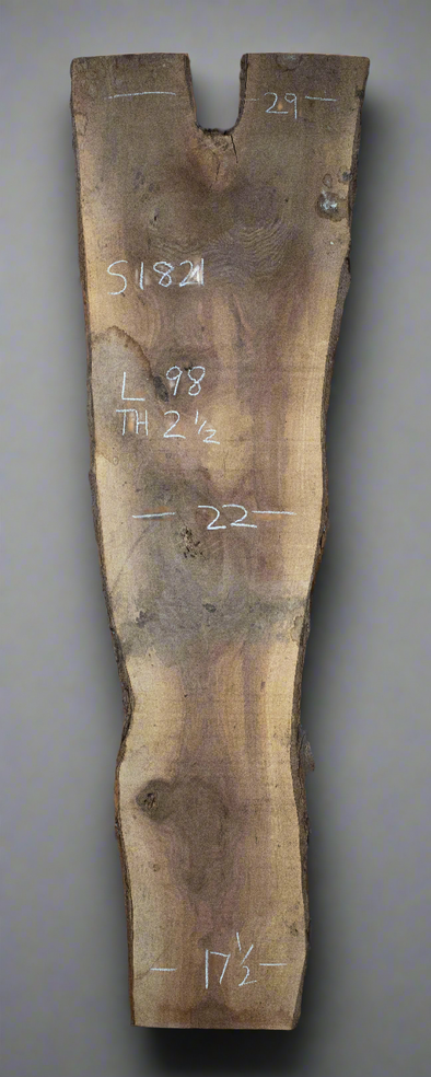 Black Walnut - S1821