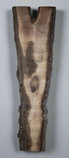 Black Walnut Live Edge Slab - S1821